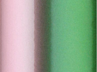 OR_Chip_970RA-317G_avocado