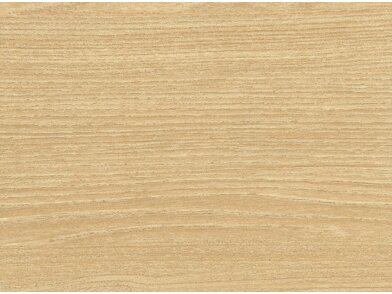 BQ_PC_W879-01-Optik