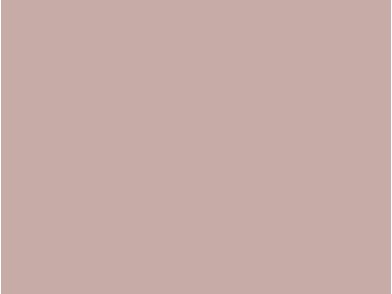 BQ_PC_S207-01-Optik