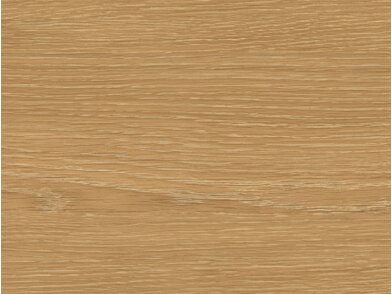 BQ_PC_Z848S-01-Optik