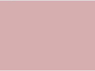 BQ_PC_S238-01-Optik