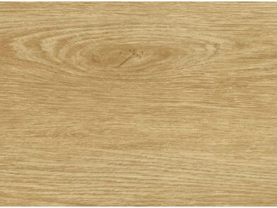 BQ_PC_SPW17-01-Optik