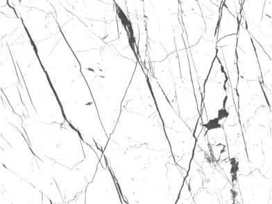 BQ_PC_NS895-01-Optik