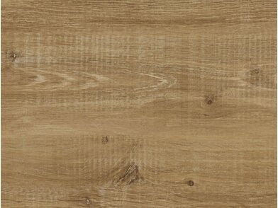 BQ_PC_PZ806-01-Optik