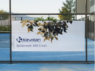 KA_PC_Spiderweb_300_L!ner